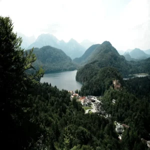 Monitoreo de Bosques con Google Earth Engine