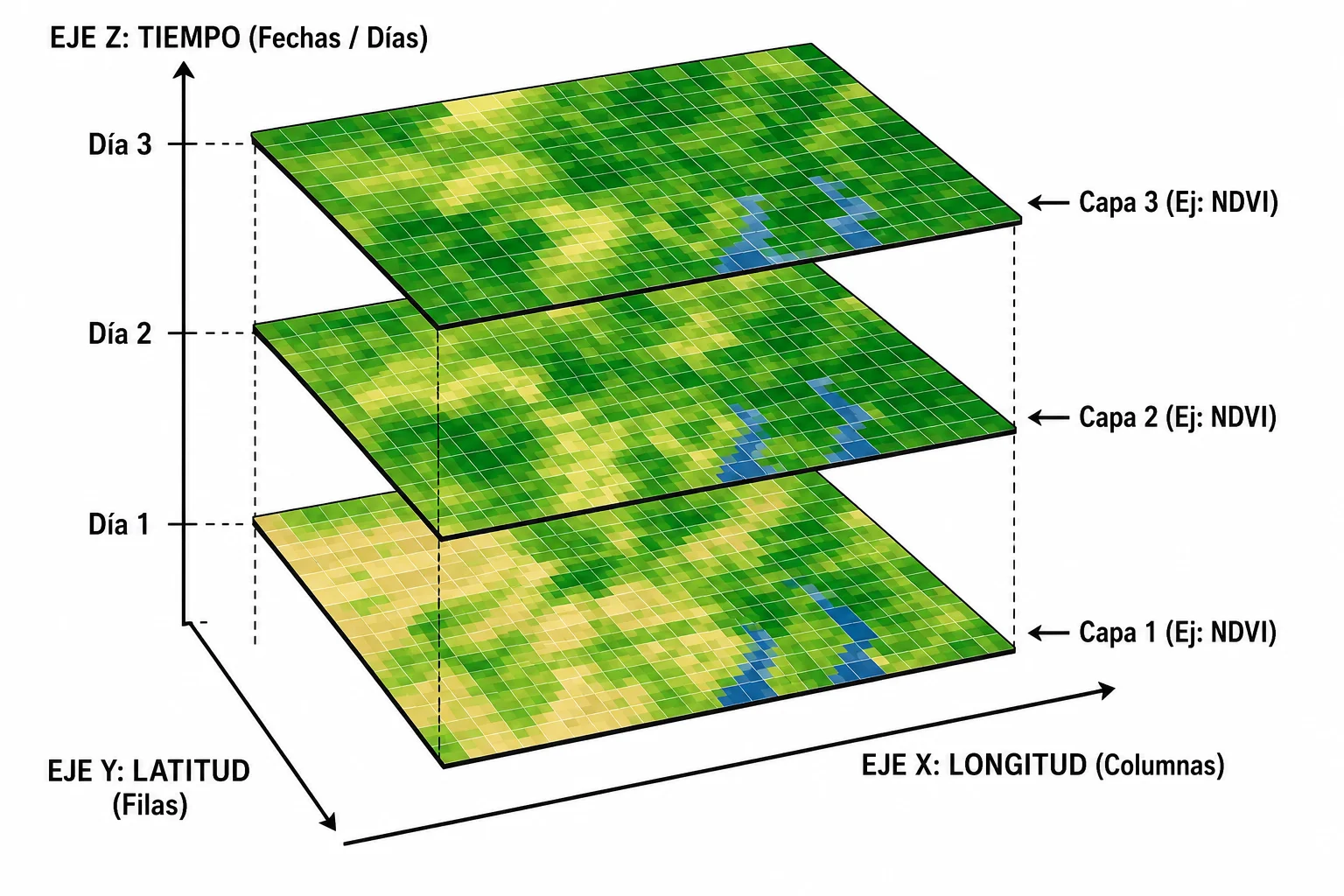 Seminario gratuito IA Big Data Ambiental con Google Earth Engine para ecología, bosques y territorio