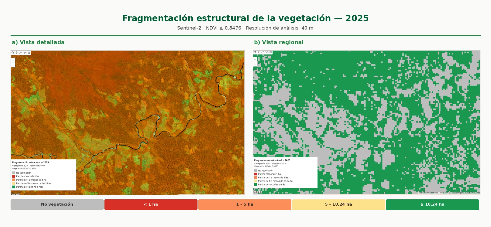 Fragmentación de hábitat — mapa de fragmentación estructural 2025, vista detallada y regional comparadas, clasificación por tamaño de parche con Sentinel-2 y NDVI en Google Earth Engine