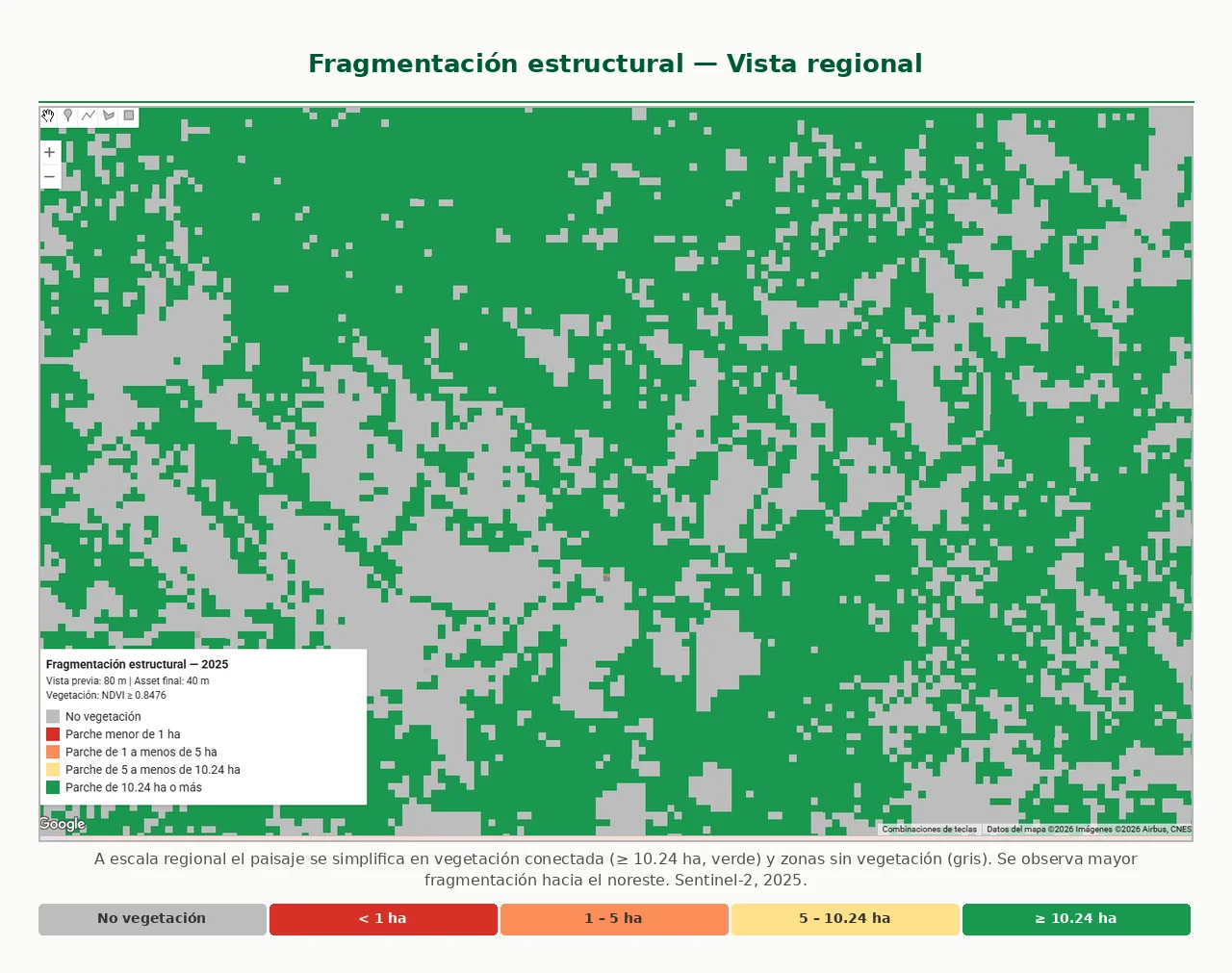 Fragmentación de hábitat vista detallada — parches de vegetación clasificados por tamaño: menores de 1 ha en rojo, de 1 a 5 ha en naranja, de 5 a 10 ha en amarillo y mayores de 10 ha en verde, análisis de conectividad del hábitat