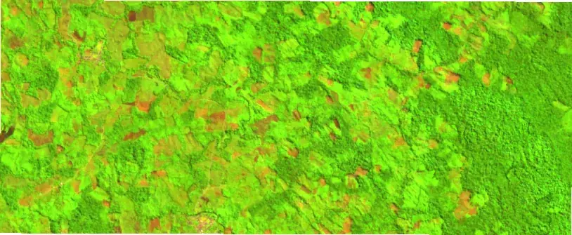 Random Forest agricultura: índice espectral Alto Biavo análisis clasificación forestal