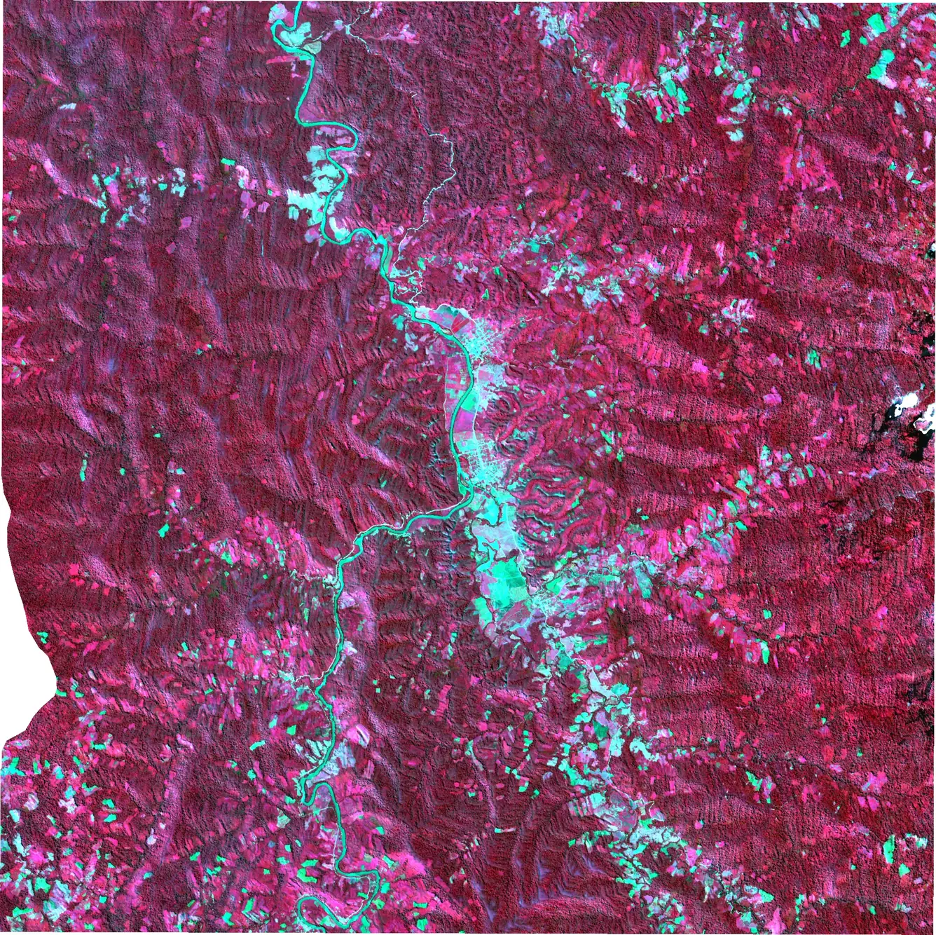 Random Forest monitoreo de bosques: análisis NIR Sentinel-2 Alto Biavo 2019 - fracciones espectrales