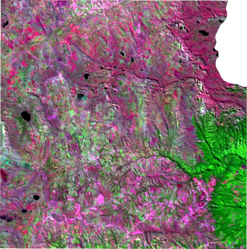 Random Forest clasificación forestal: RGB falso Sentinel-2 Panao 2019-2020 monitoreo de bosques