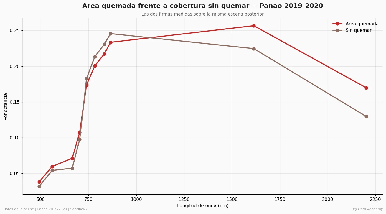 Suelo desnudo vs área quemada: contexto de la comparación espectral entre área quemada y cobertura sin quemar en Panao 2019–2020