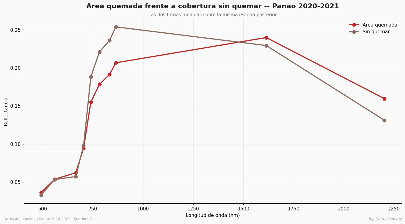 Suelo desnudo vs área quemada: gráfico de Panao 2020–2021 con firmas de área quemada y cobertura sin quemar