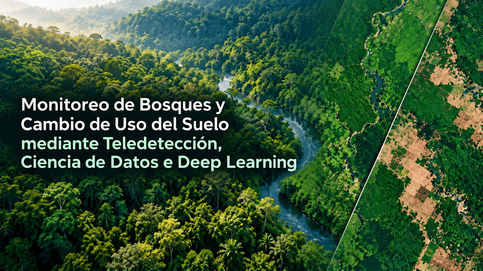 Monitoreo de Bosques y Cambio de Uso del Suelo mediante Teledetección, Ciencia de Datos e Deep Learning. - Imagen 2