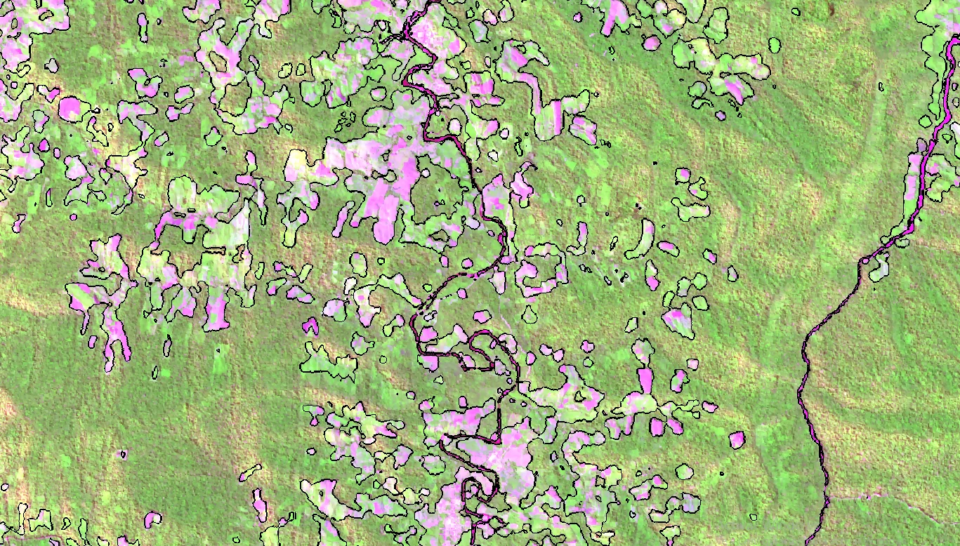Curso de monitoreo de bosques con deep learning aplicado a imágenes satelitales Sentinel-2 en Perú